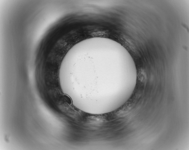 X0000093390763200710251241