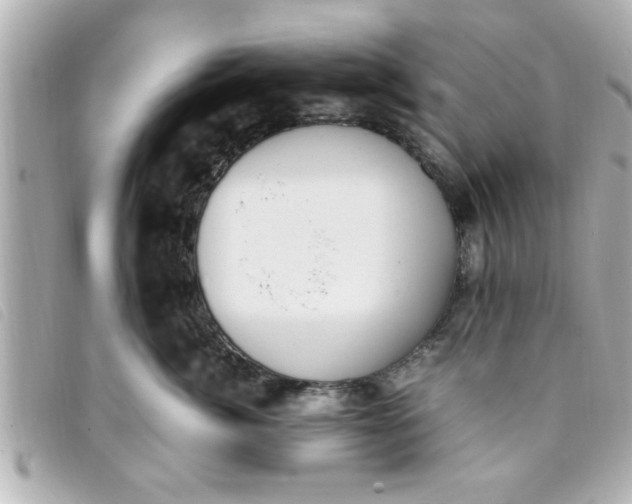 X0000093390764200710251241