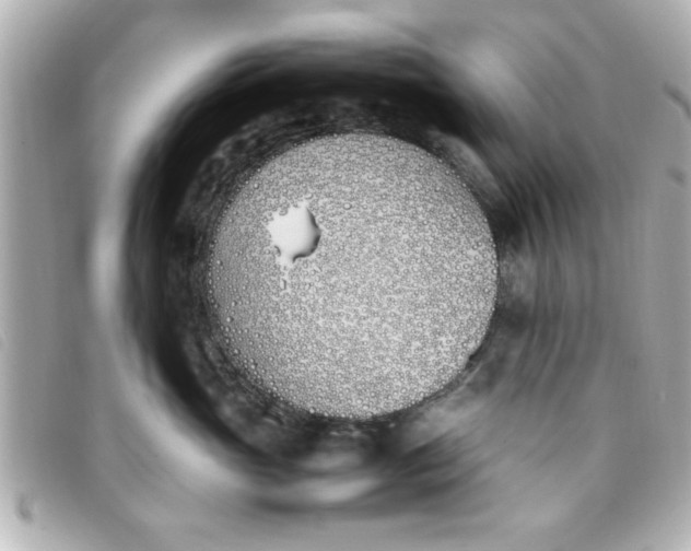 X0000093390765200710251241