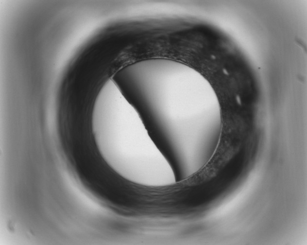 X0000093390766200710251241