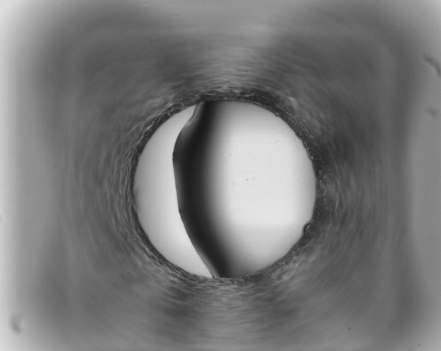 X0000093390769200710251240