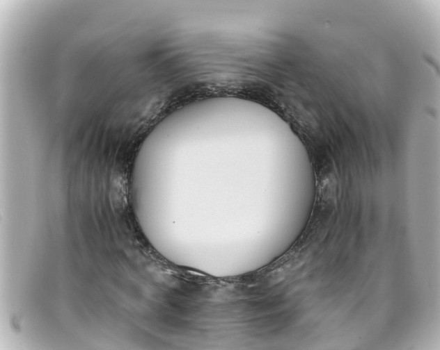 X0000093390772200710251240