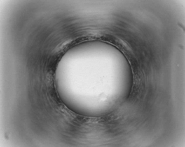 X0000093390773200710251240