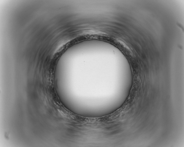 X0000093390775200710251240