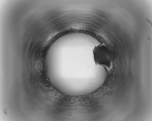 X0000093390776200710251240