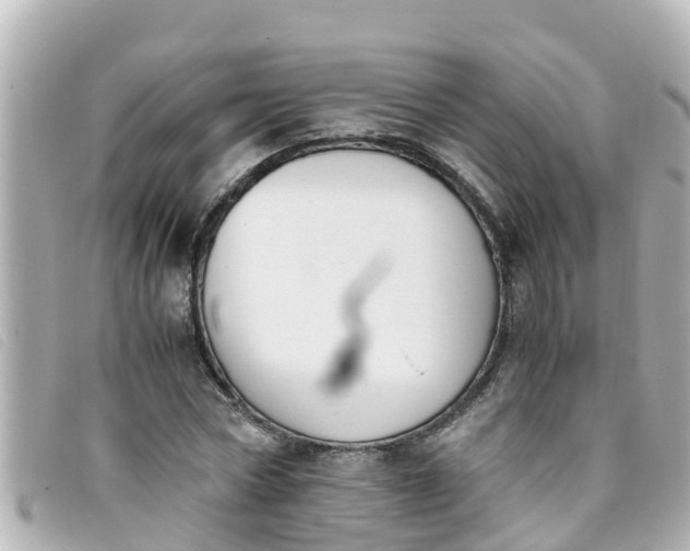 X0000093390778200710251240