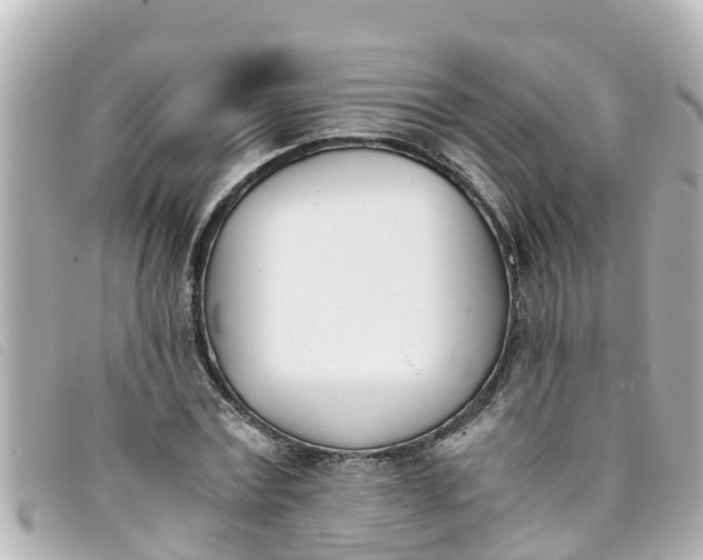 X0000093390779200710251240