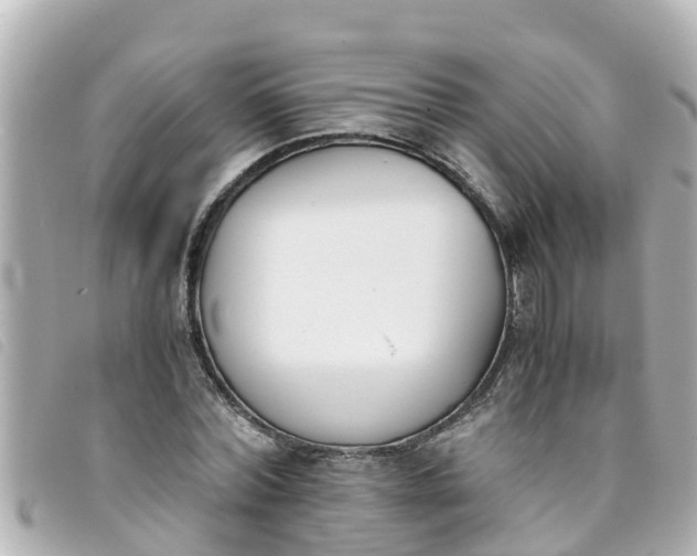 X0000093390780200710251240