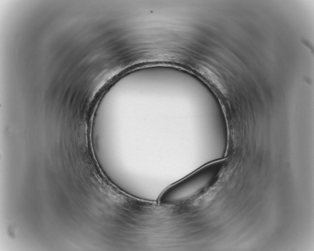 X0000093390781200710251240