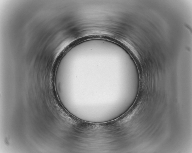 X0000093390783200710251240