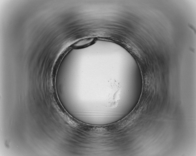 X0000093390784200710251240