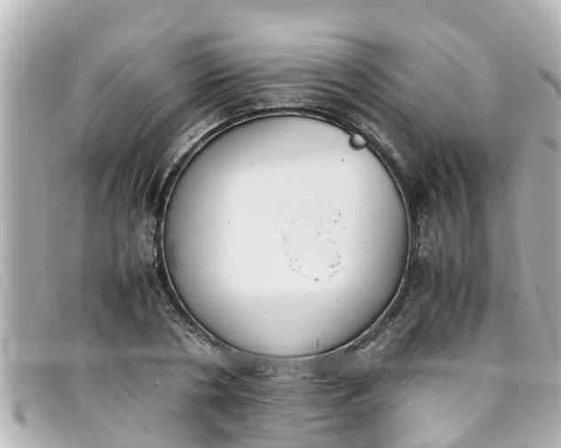 X0000093390786200710251240