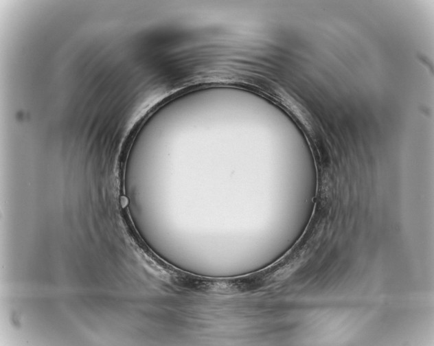 X0000093390787200710251240