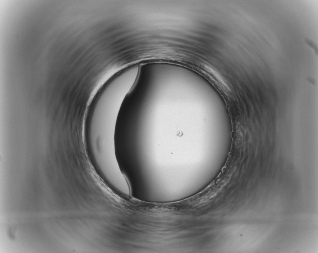 X0000093390788200710251240