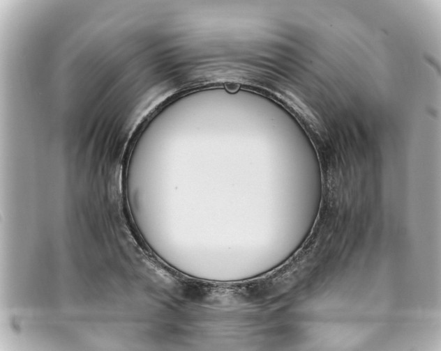 X0000093390790200710251240