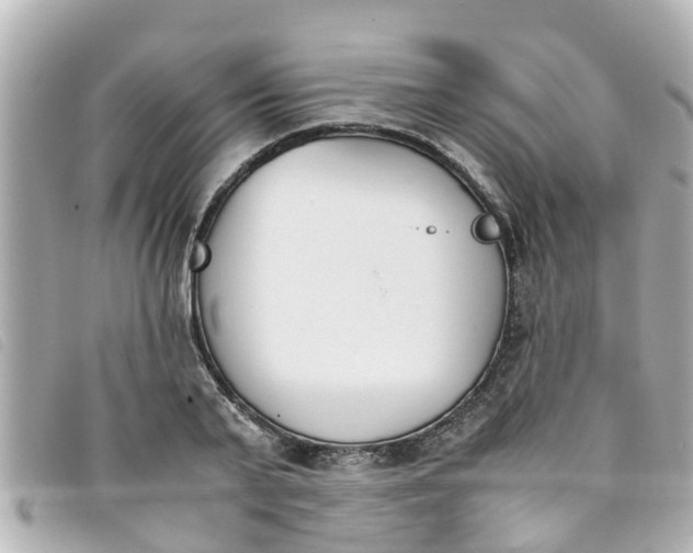 X0000093390791200710251240