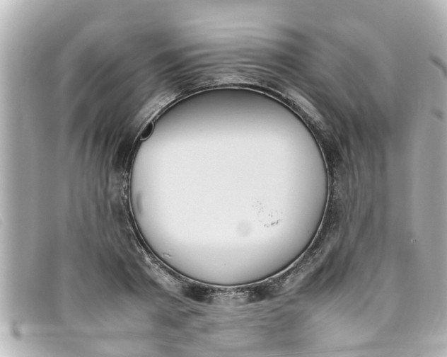 X0000093390793200710251239