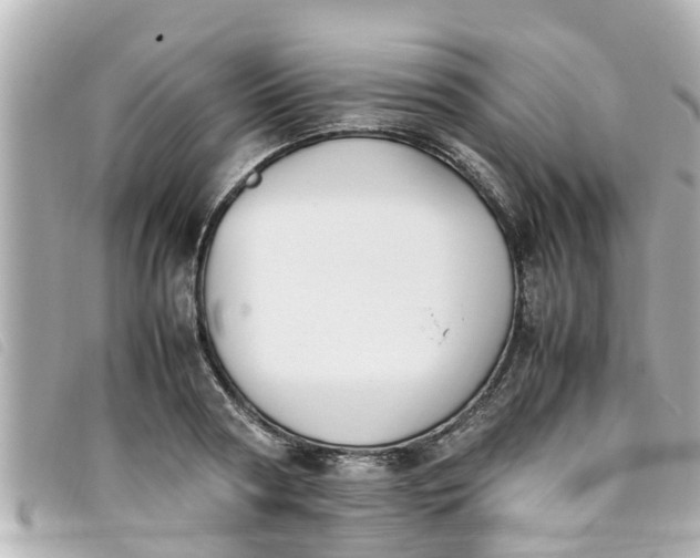 X0000093390794200710251239