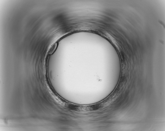 X0000093390795200710251239