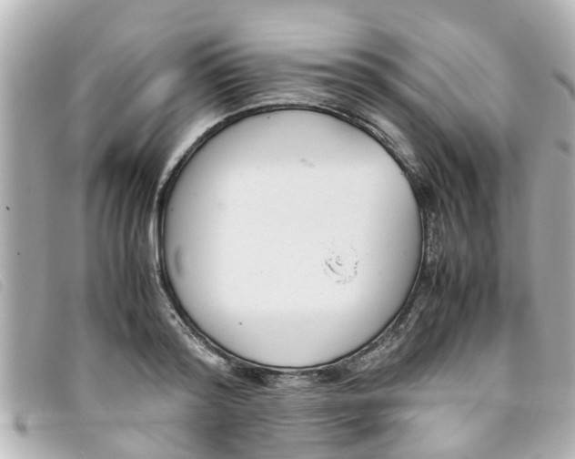 X0000093390796200710251239