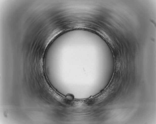 X0000093390798200710251239