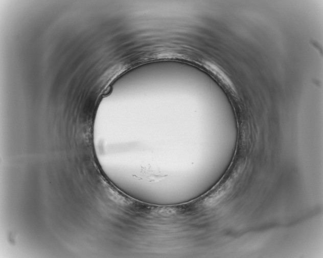 X0000093390801200710251239