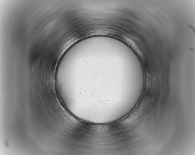 X0000093390802200710251239