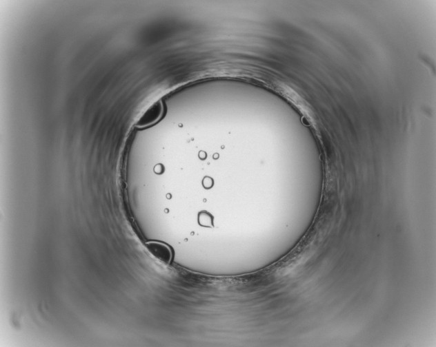 X0000093390803200710251239