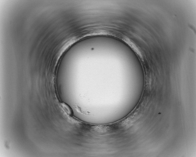 X0000093390805200710251239