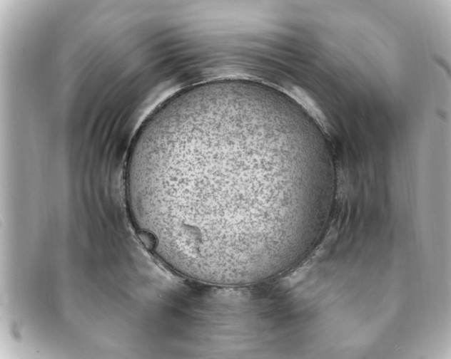 X0000093390806200710251239