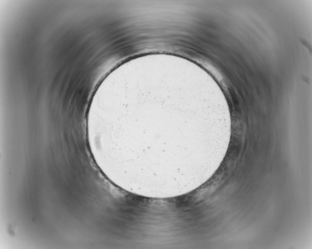 X0000093390807200710251239