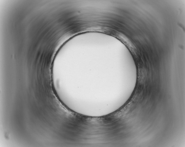 X0000093390808200710251239