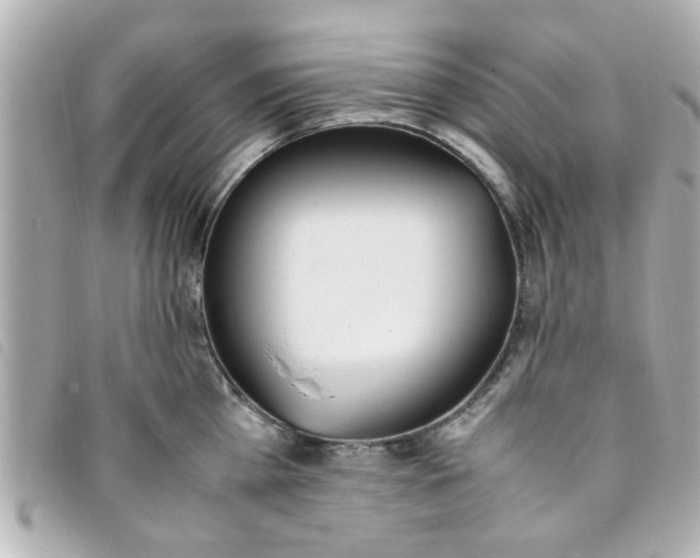 X0000093390809200710251239