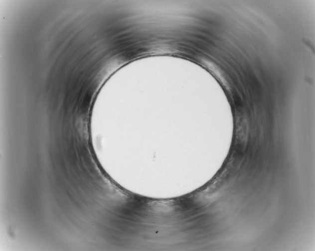 X0000093390810200710251239