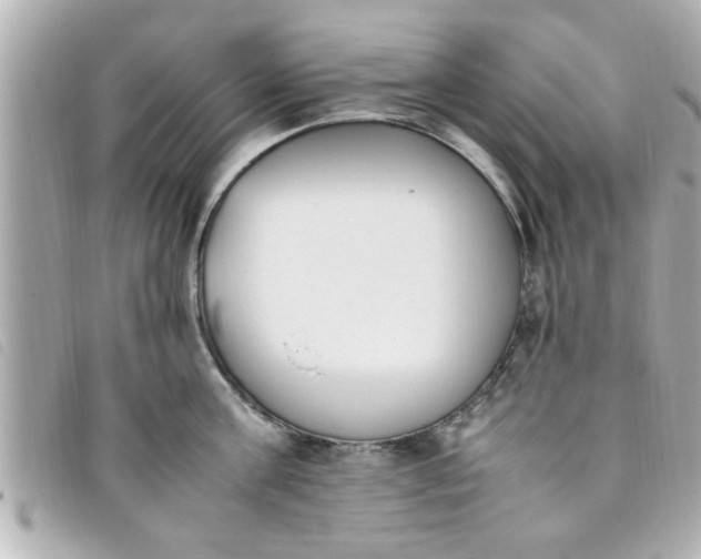 X0000093390811200710251239