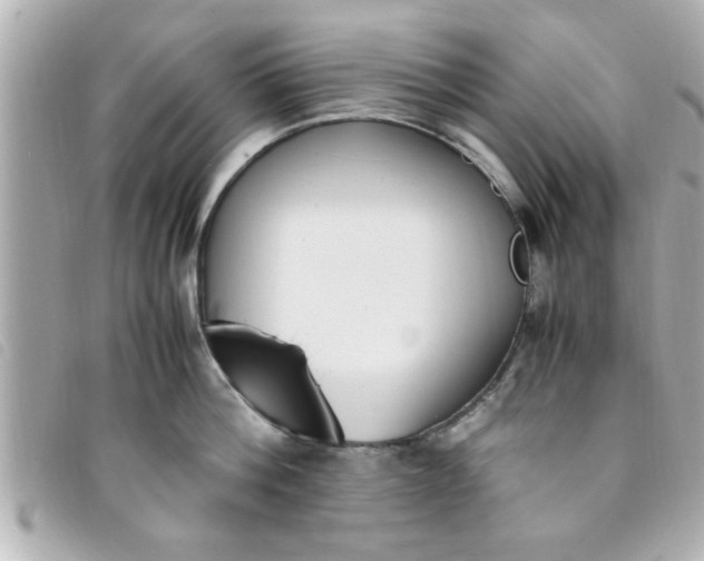 X0000093390812200710251239