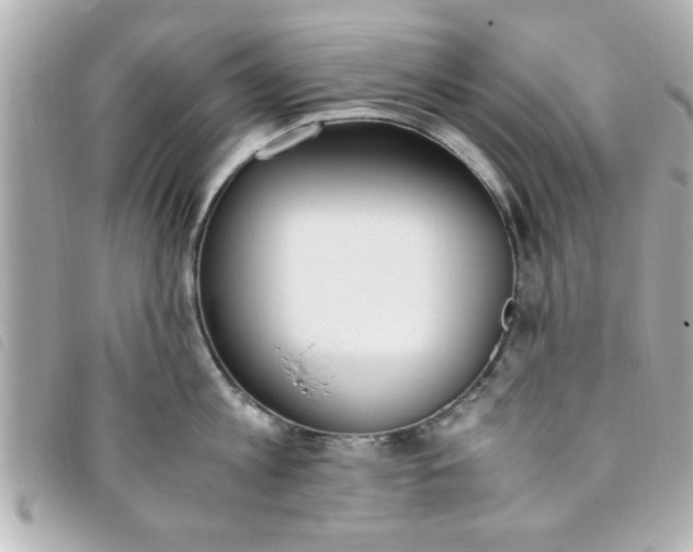 X0000093390813200710251239