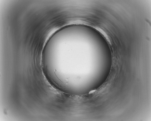 X0000093390815200710251239