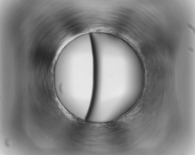 X0000093390816200710251239