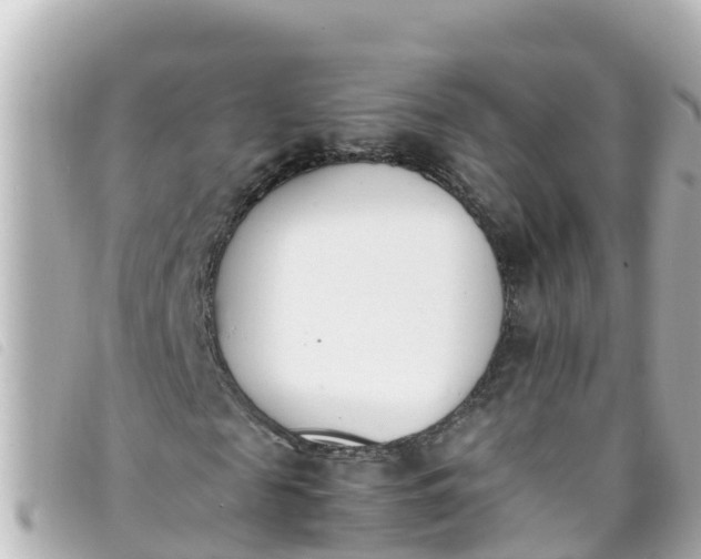 X0000093390817200710251238