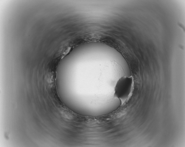 X0000093390818200710251238