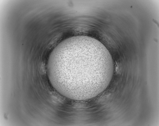 X0000093390819200710251238