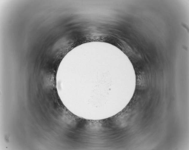 X0000093390820200710251238