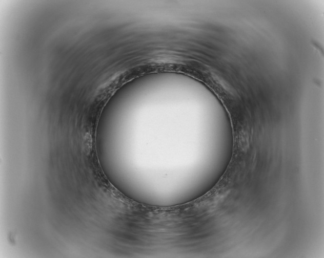 X0000093390821200710251238