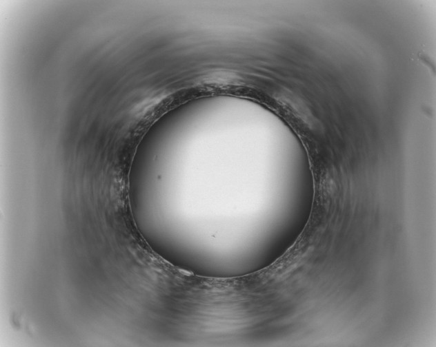 X0000093390822200710251238