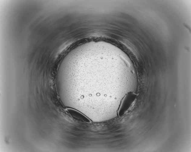 X0000093390823200710251238