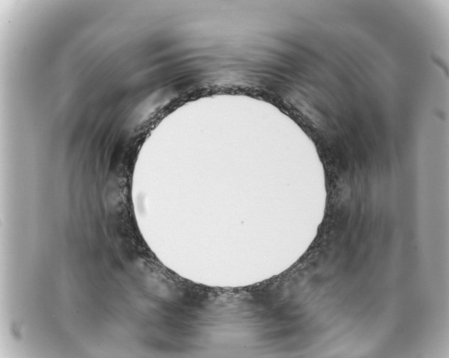 X0000093390824200710251238