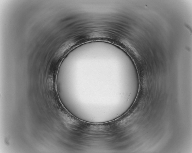 X0000093390825200710251238