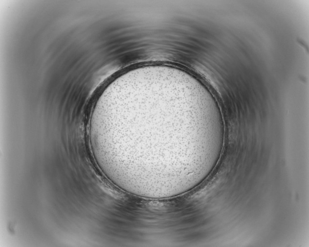 X0000093390827200710251238