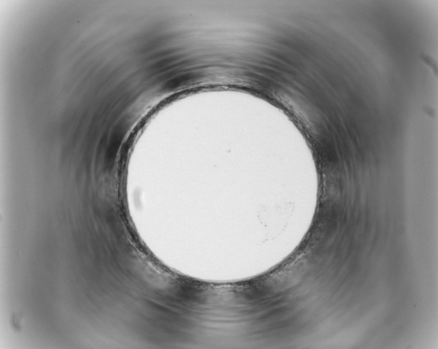 X0000093390828200710251238